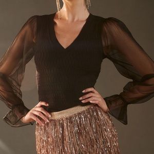 Maeve sheer sleeve sweater